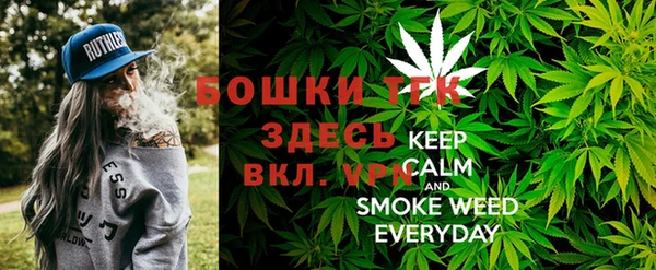 хмурый Касимов