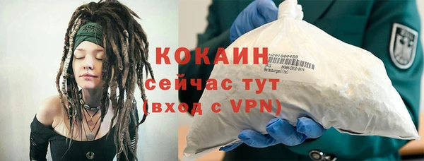 хмурый Касимов