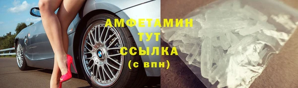 стаф Карпинск