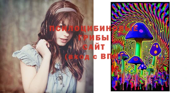 хмурый Касимов