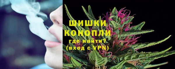 хмурый Касимов